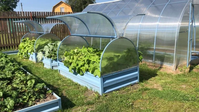 парник для огурцов из поликарбоната