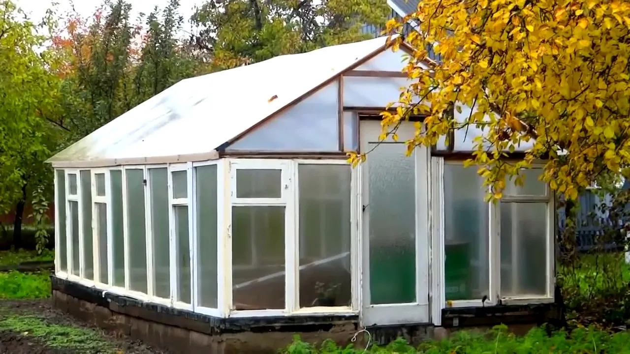 парник из оконных рам