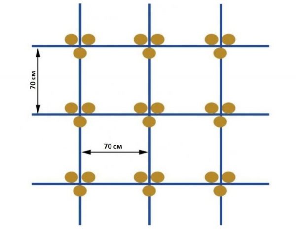 Посадка огурцов схема расстояние