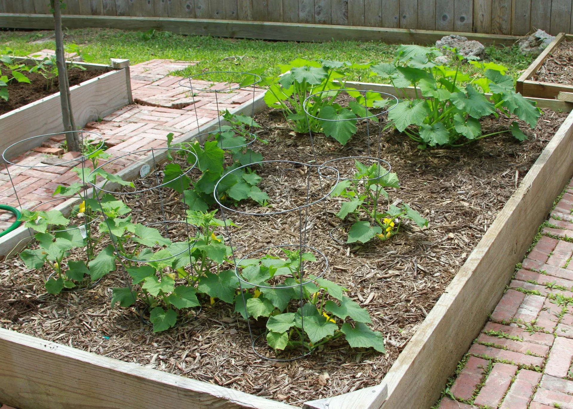 почва для огурцов