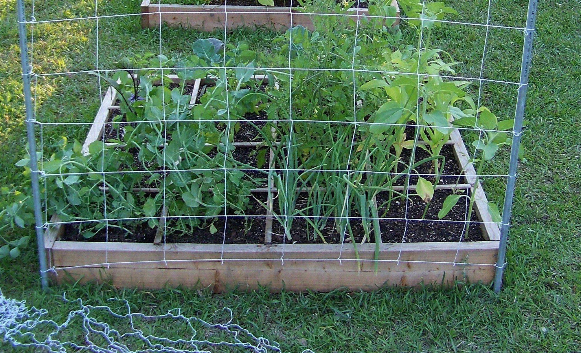 использование сетки для других культур