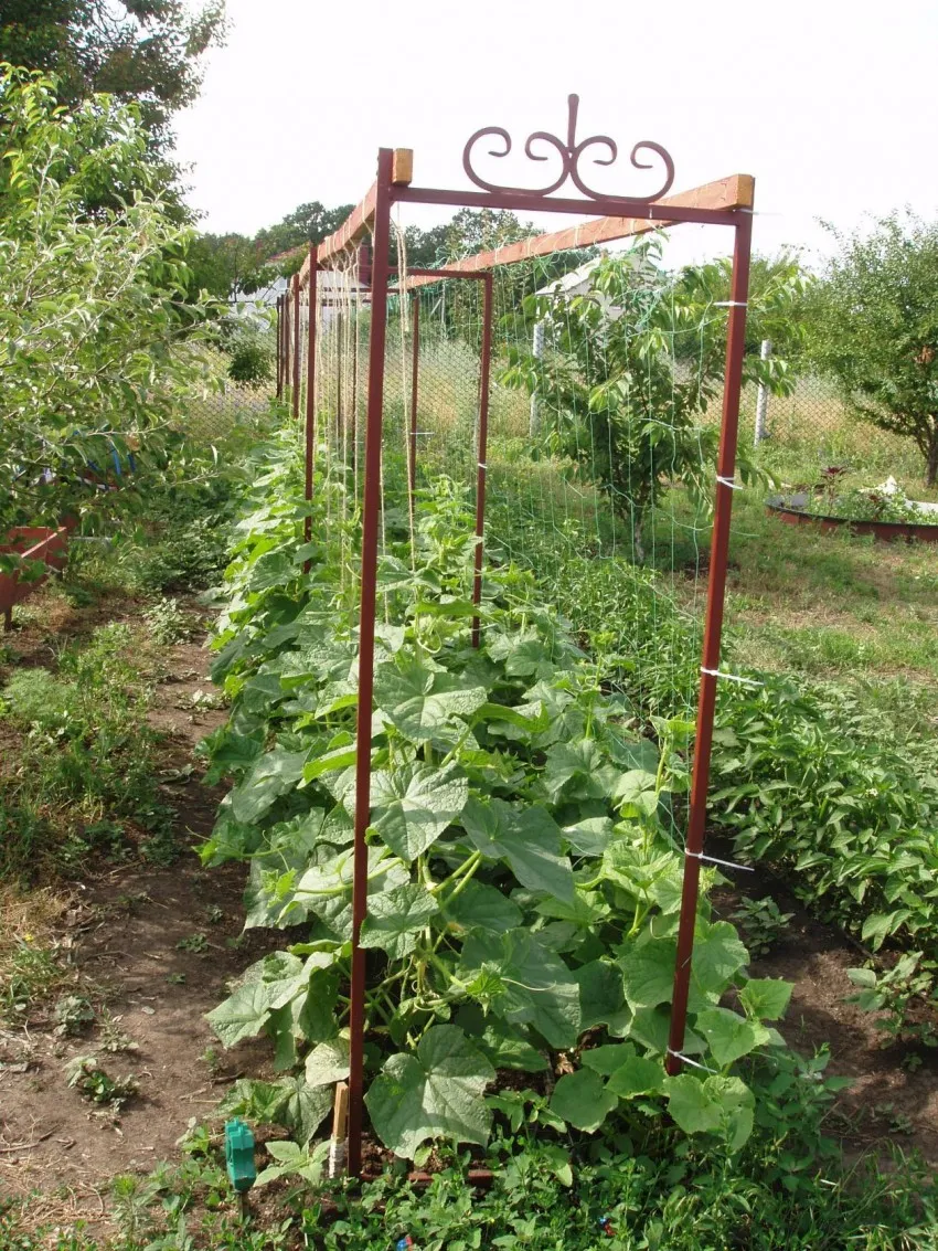 прямоугольные шпалеры для огурцов