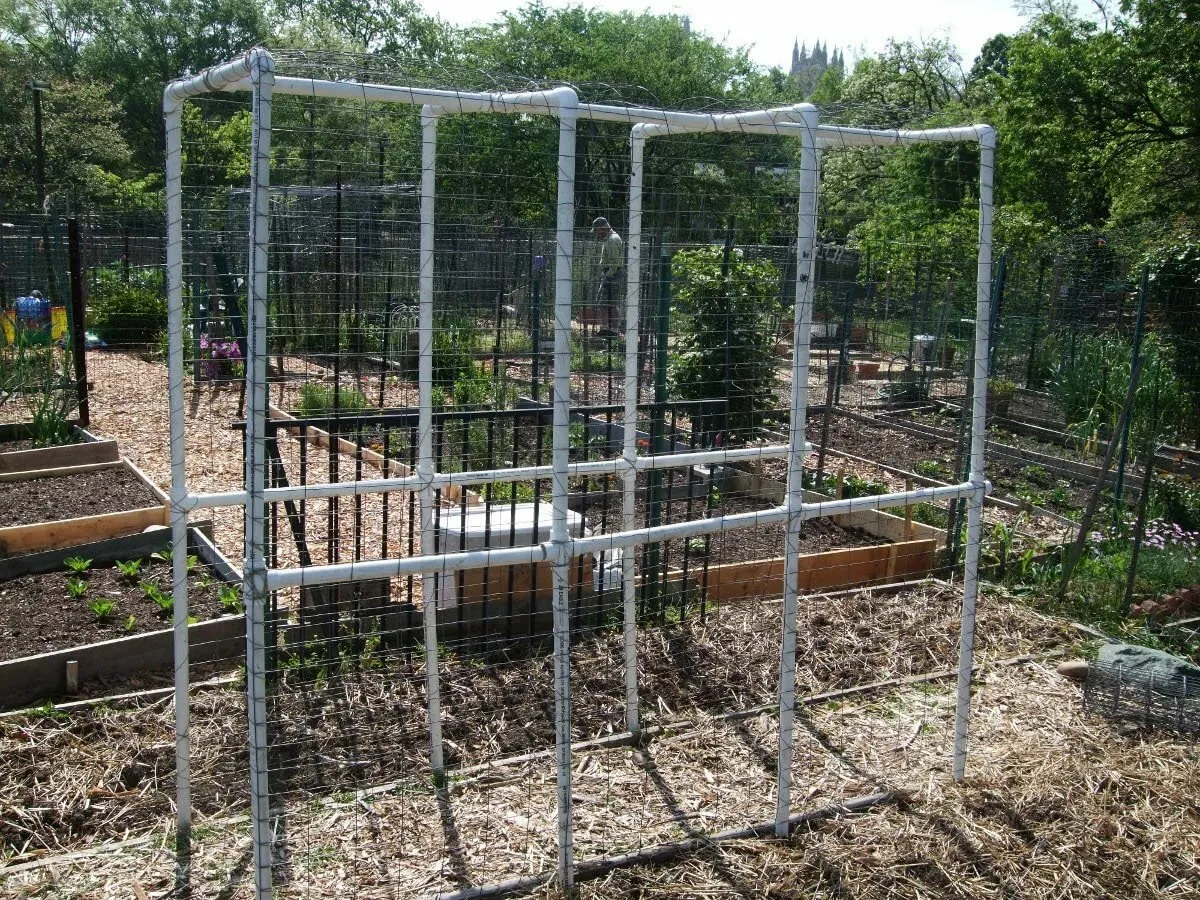 шпалеры из пластиковых труб