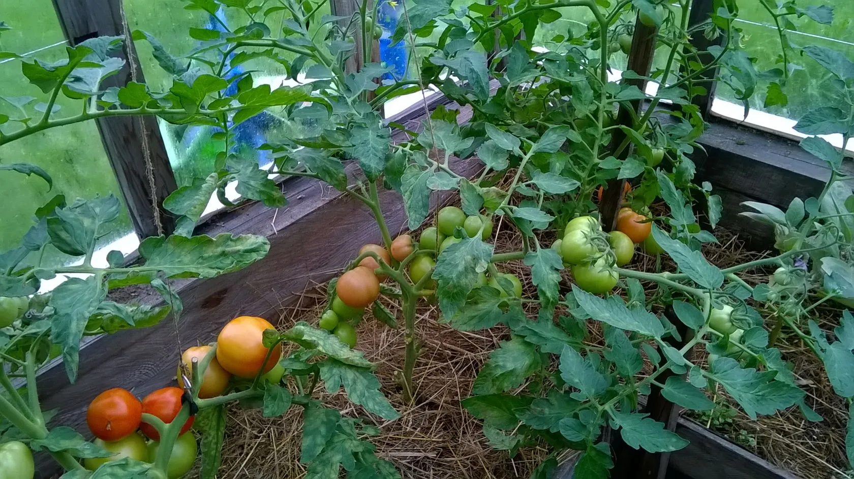 насыщение почвы азтом