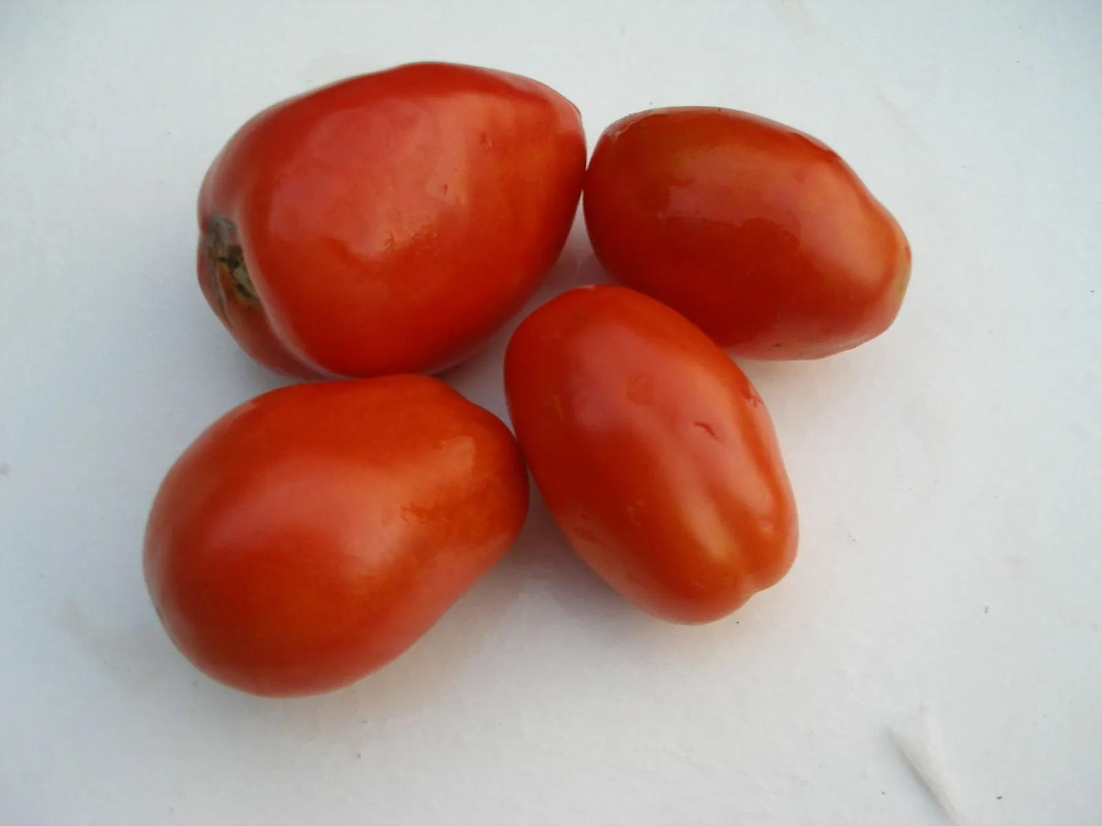 томат де барао царский