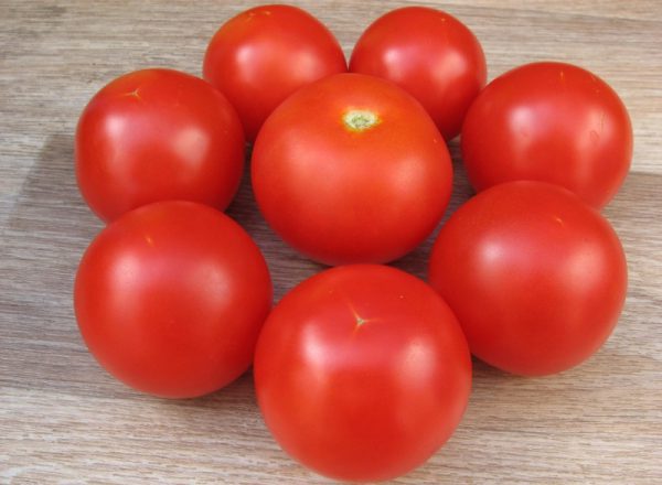 Семена помидоры санек цербера семена