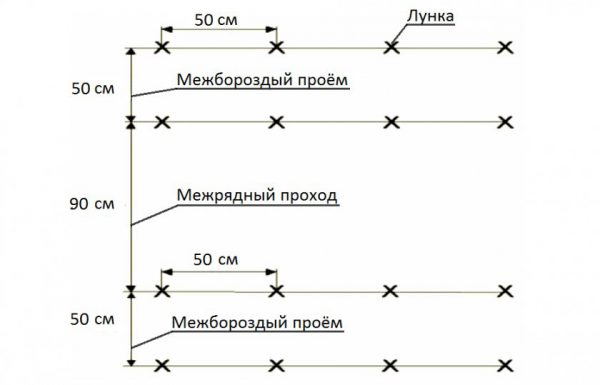 Посадка огурцов схема расстояние