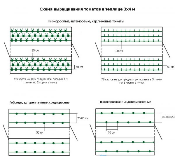 На каком расстоянии сажать огурцы в теплице друг от друга в один ряд схема