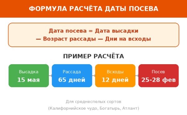 Формула расчёта даты посева перца на рассаду